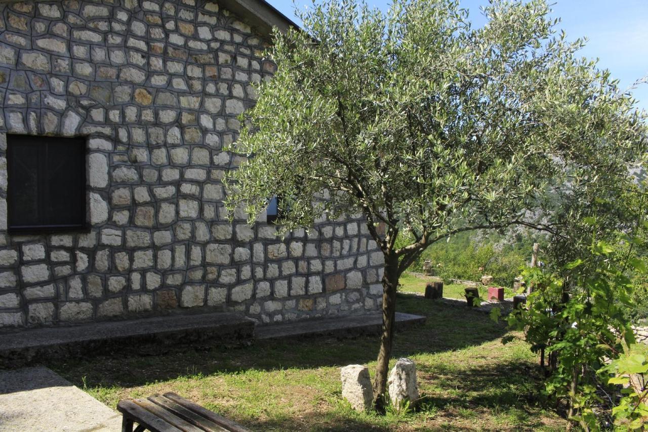 Вилла Rent House Orahovo Вирпазар Экстерьер фото